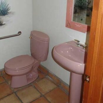 powder room with pink toilet photo